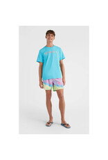 ONEILL MEN CALI MELTING SHORT