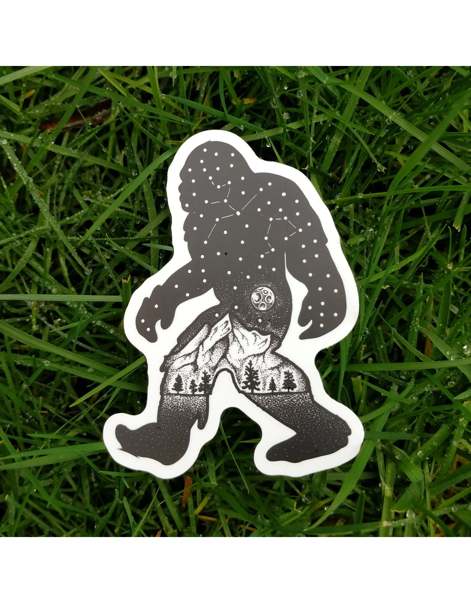 NORTHWEST JASPER 0301 SASQUATCH CONSTELLATION  STICKER