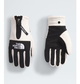 THE NORTH FACE DENALI ETIP GLOVE