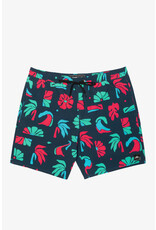 ONEILL MEN ISLAND VOLLEY 18" SHORT