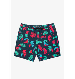 ONEILL MEN ISLAND VOLLEY 18" SHORT
