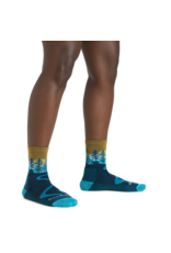 DARN TOUGH WOMEN TRAILBLAZER MI CREW LT CUSH SOCK