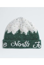 THE NORTH FACE CABIN MOUNTAINSCAPE BEANIE