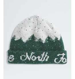 THE NORTH FACE CABIN MOUNTAINSCAPE BEANIE