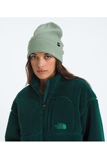 THE NORTH FACE URBAN CUFF BEANIE