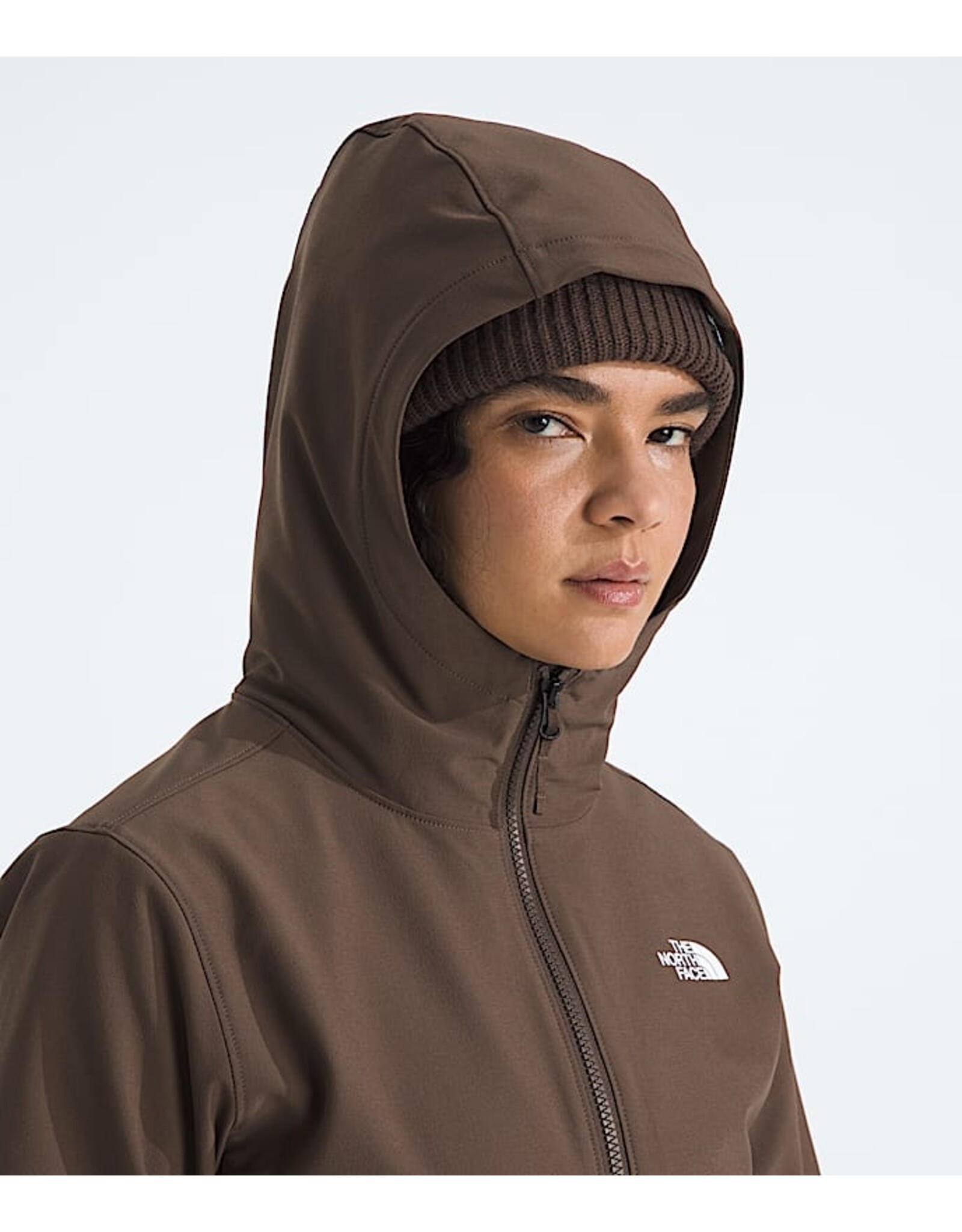 THE NORTH FACE WOMEN'S SHELBE RASCHEL HOODIE