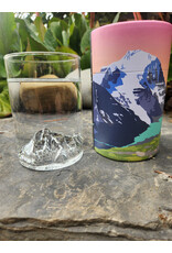 MT ROBSON PINT GLASS