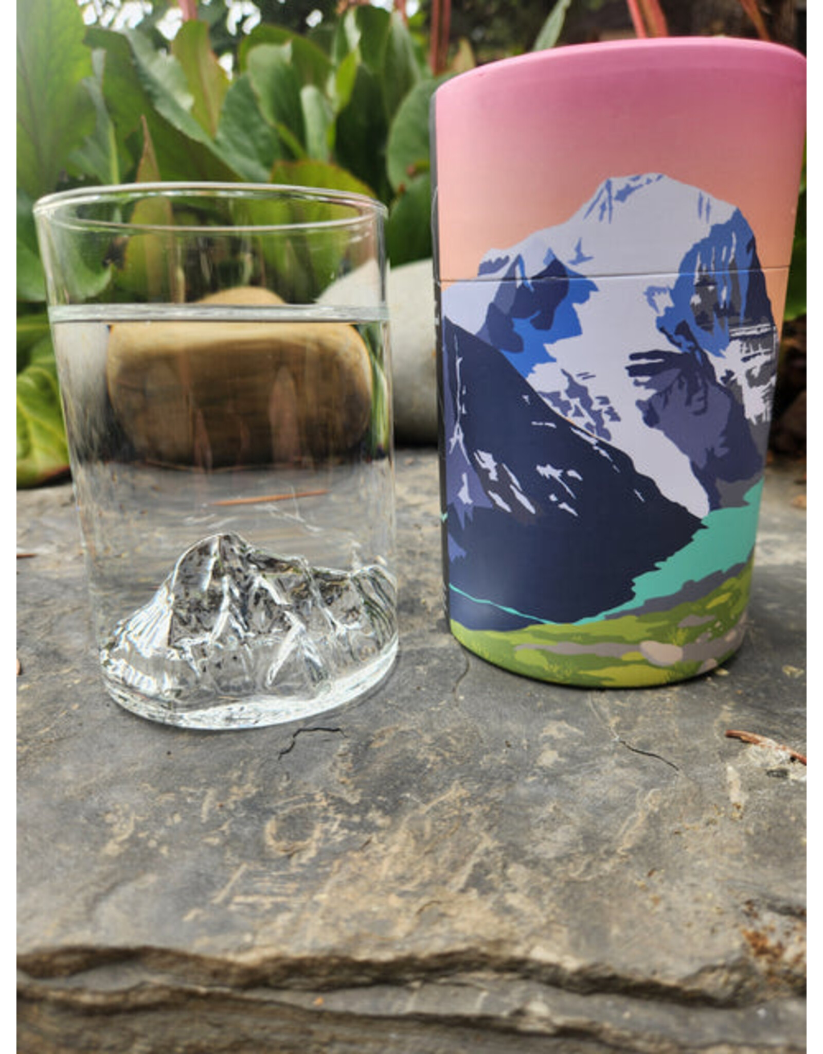 MT ROBSON PINT GLASS