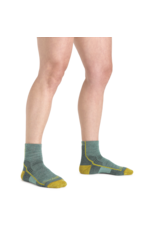 DARN TOUGH WOMEN HIKER 1/4  W/CUSHION SOCK