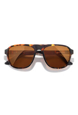 SHORELINE TORTOISE BRONZE SUNGLASSES