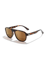 SHORELINE TORTOISE BRONZE SUNGLASSES