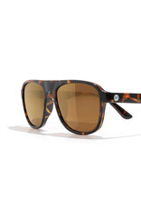 SHORELINE TORTOISE BRONZE SUNGLASSES