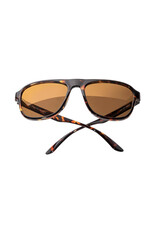 SHORELINE TORTOISE BRONZE SUNGLASSES