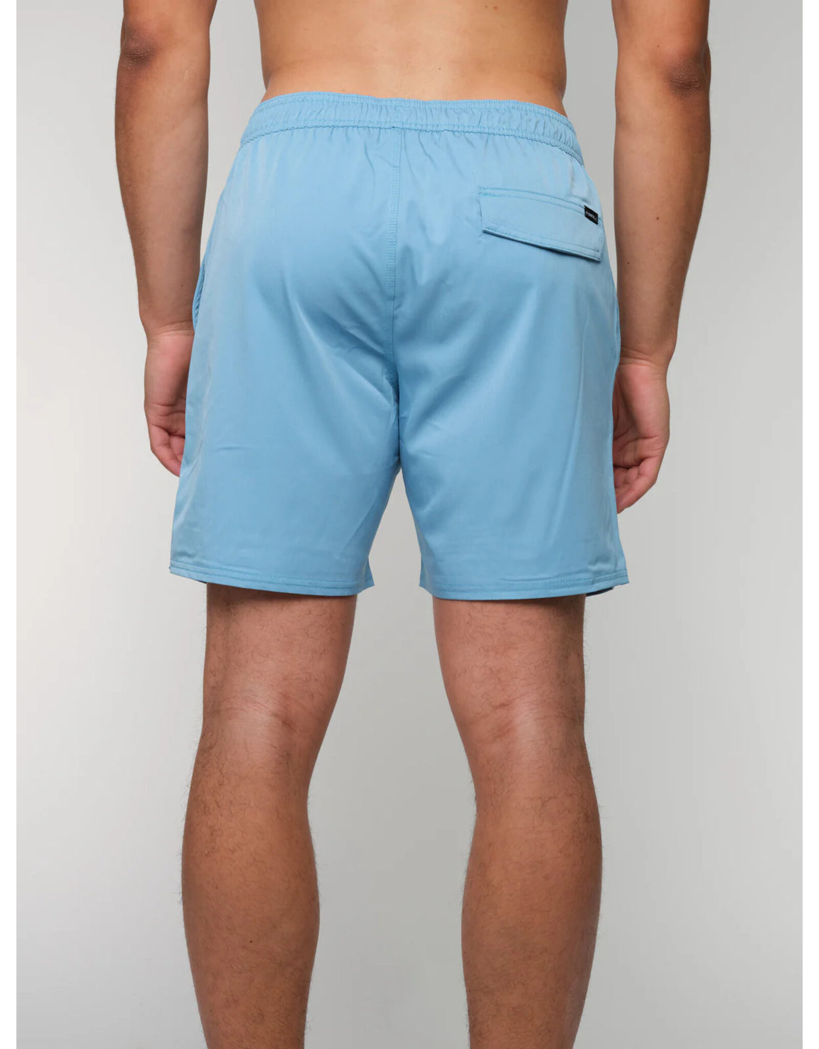 ONEILL MEN SOLID VOLLEY 2.0 SHORT