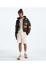 THE NORTH FACE MEN'S EVOLUTION SHORT