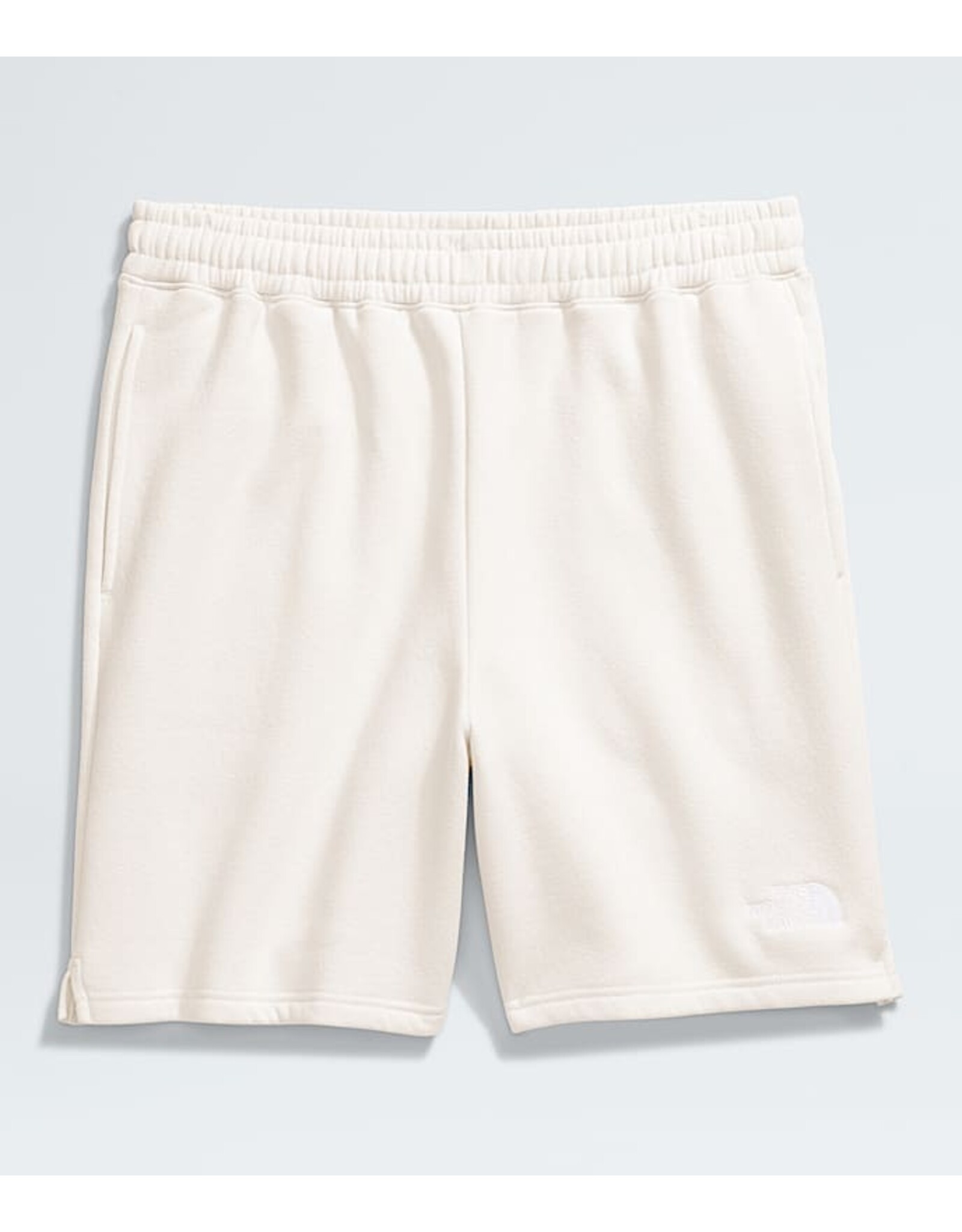 THE NORTH FACE MEN'S EVOLUTION SHORT