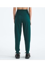 THE NORTH FACE WOMEN'S DUNE SKY JOGGER
