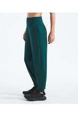 THE NORTH FACE WOMEN'S DUNE SKY JOGGER
