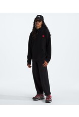THE NORTH FACE MEN'S 40TH MOUNTAIN JACKET HWT HOODIE