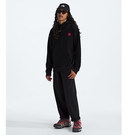 THE NORTH FACE MEN'S 40TH MOUNTAIN JACKET HWT HOODIE