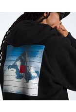 THE NORTH FACE MEN'S 40TH MOUNTAIN JACKET HWT HOODIE
