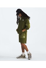 THE NORTH FACE MEN'S TERRY RELAXED HOODIE