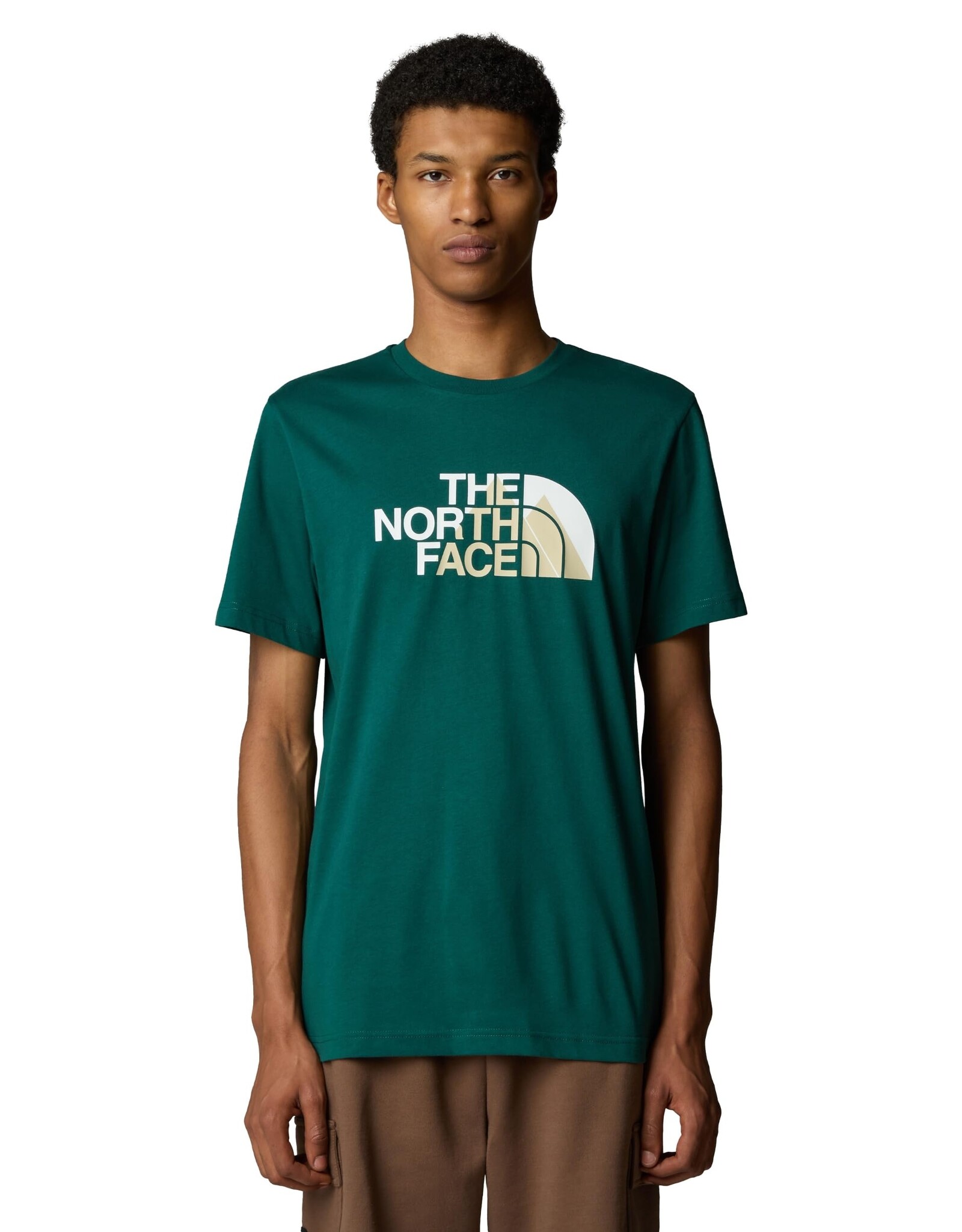 THE NORTH FACE MEN'S BINER GRAPHIC 1 TEE