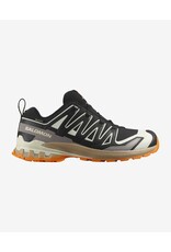 SALOMON MEN XA PRO 3D V9 GTX SHOE