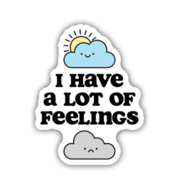 NORTHWEST I HAVE A LOT OF FEELINGS STICKER