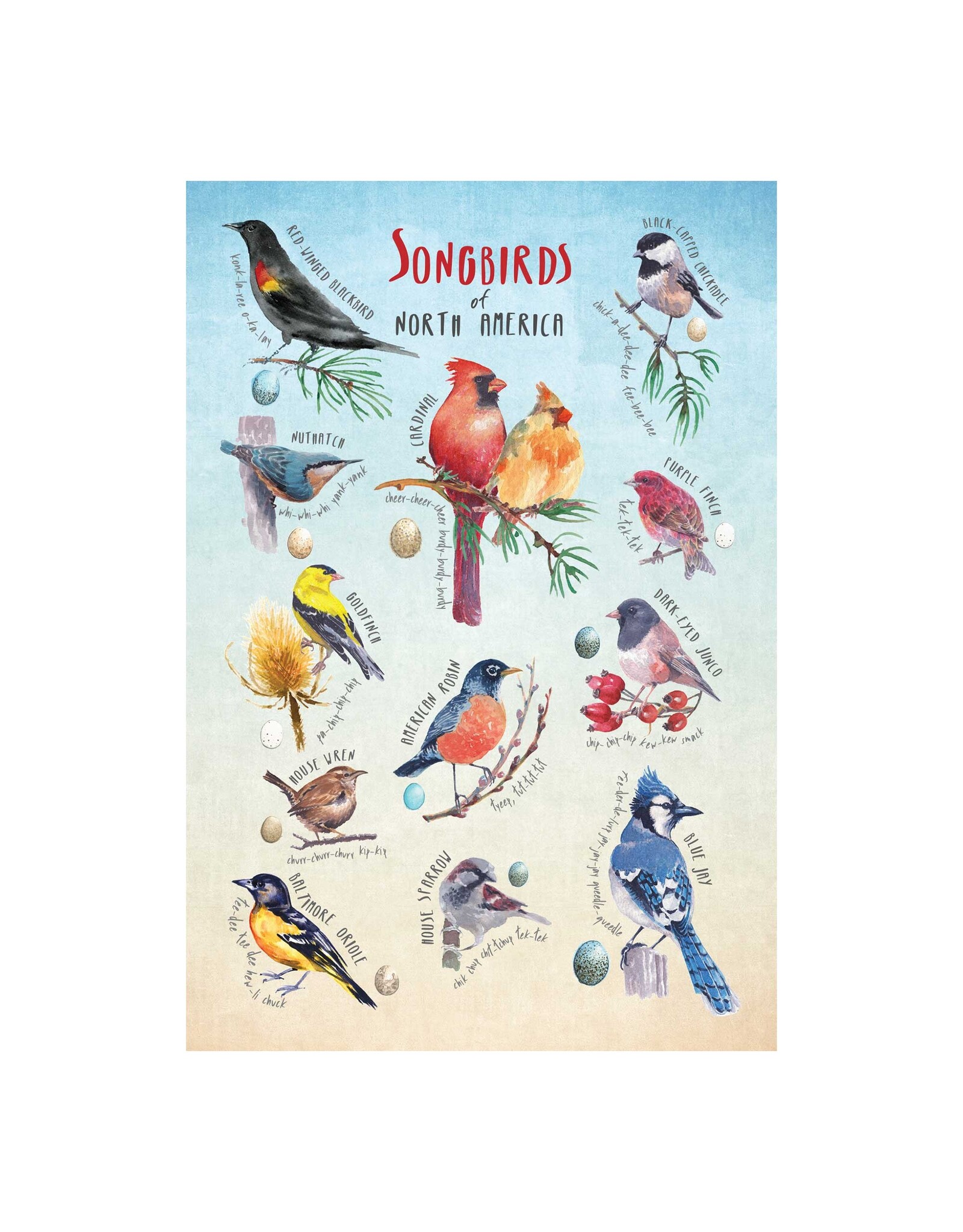 GSI OUTDOORS SONGBIRDS OF NORTH AMERICA MINI PUZZLE