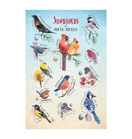GSI OUTDOORS SONGBIRDS OF NORTH AMERICA MINI PUZZLE