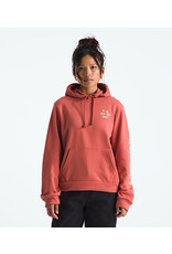 THE NORTH FACE WOMEN EVOLUTION PROUD HOODY