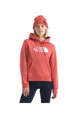 THE NORTH FACE WOMEN EVOLUTION SKETCH HALF DOME HOODY