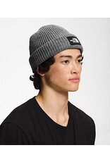 THE NORTH FACE SALTY LINED BEANIE