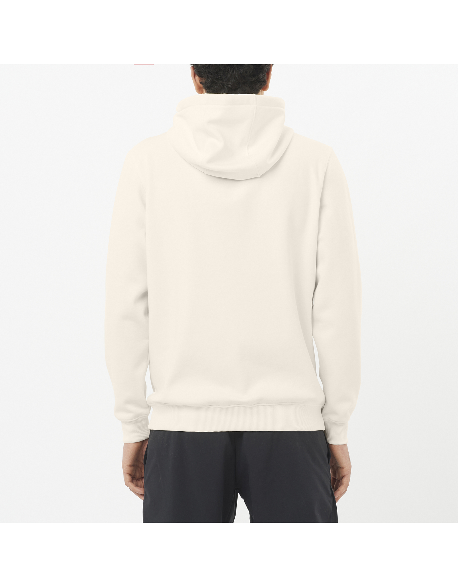 SALOMON MEN SALOMON BIG LOGO HOODIE