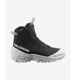 SALOMON MEN CROSSTRAK POWDER WP SHOE