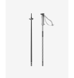 SALOMON ALPINE POLES POLAR BOX
