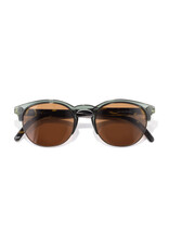 AVILA PINE TORTOISE AMBER SUNGLASSES