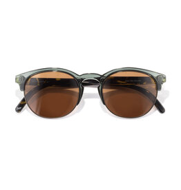 AVILA PINE TORTOISE AMBER SUNGLASSES