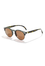 AVILA PINE TORTOISE AMBER SUNGLASSES