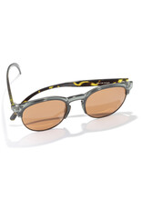AVILA PINE TORTOISE AMBER SUNGLASSES