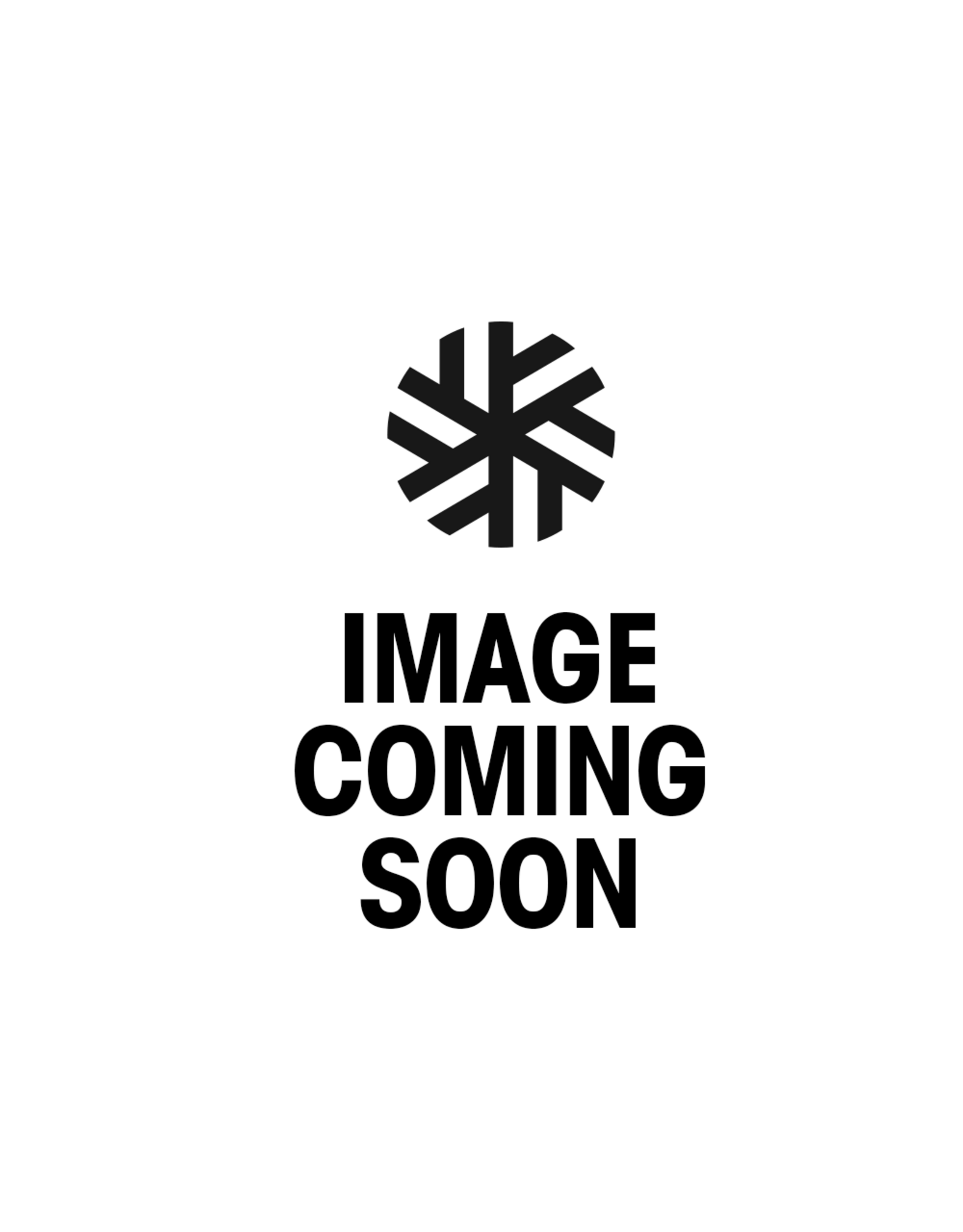 THE NORTH FACE WOMEN DESCENDIT JACKET