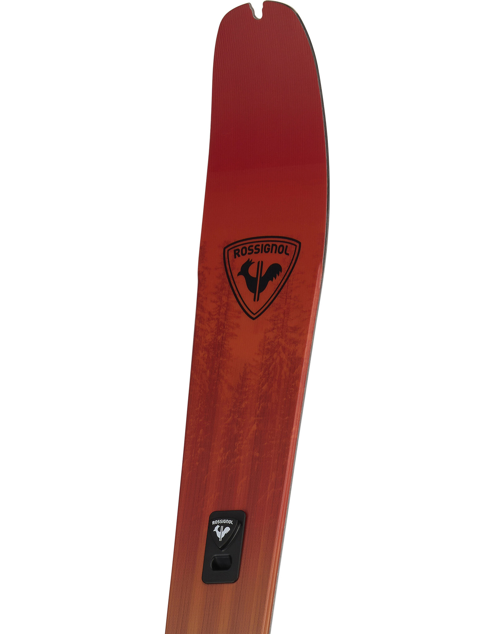 Rossignol XP 105 POSITRACK XC SKI