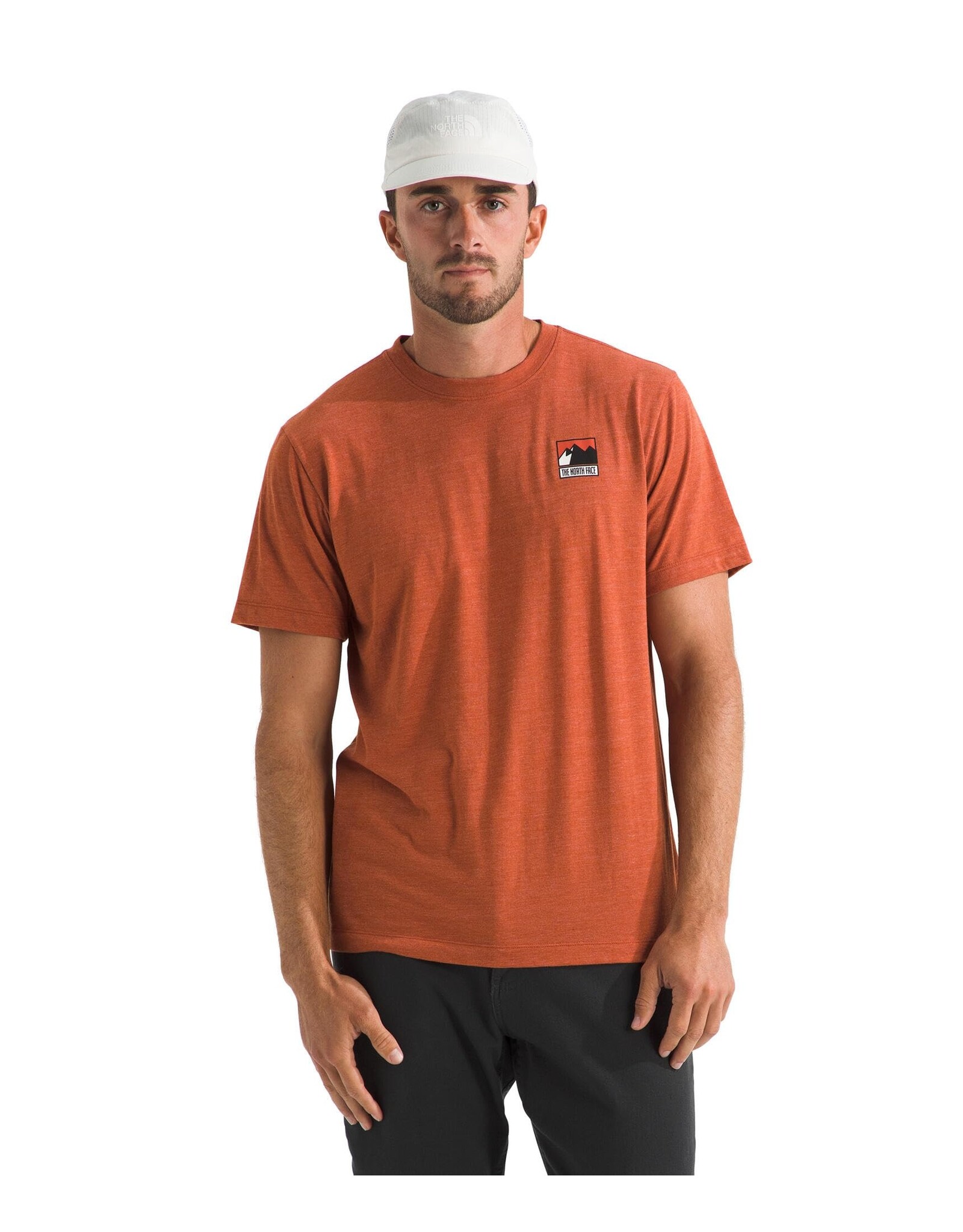 THE NORTH FACE MEN TRI-BLEND MOUNTAIN LOGO S/S TEE