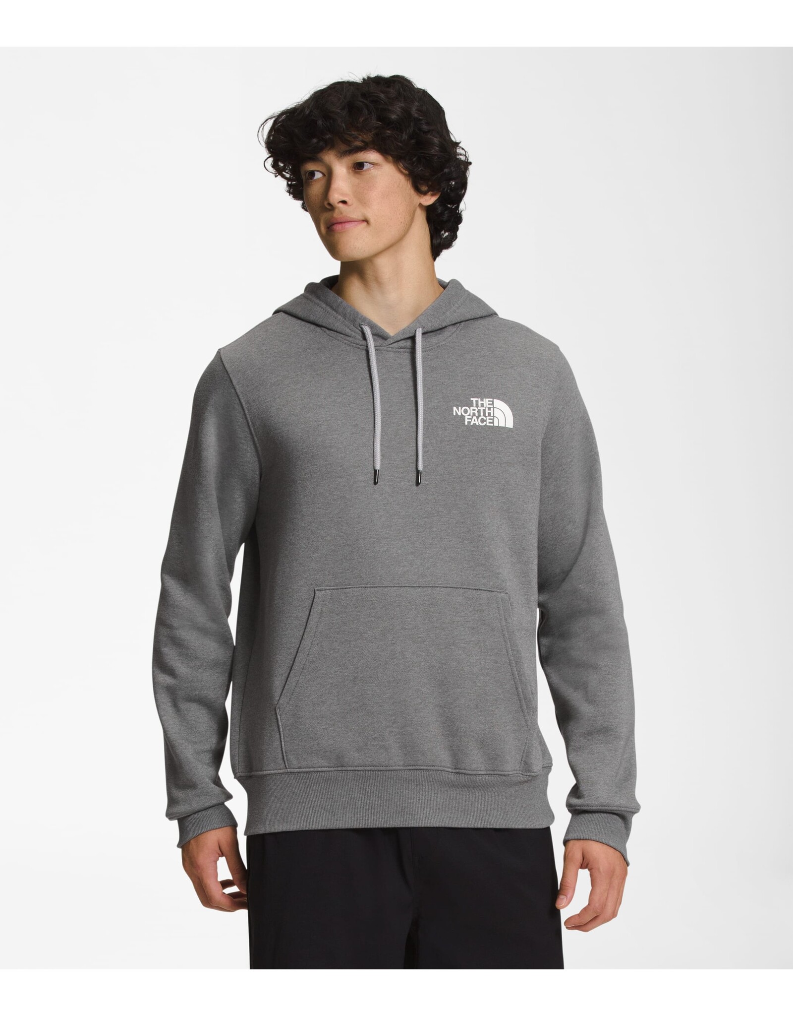 THE NORTH FACE MEN PLACES WE LOVE HOODIE EVEREST