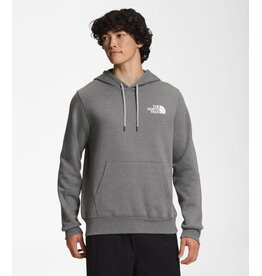 THE NORTH FACE MEN PLACES WE LOVE HOODIE EVEREST