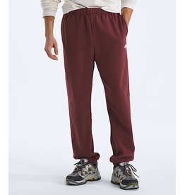 THE NORTH FACE MEN EVOLUTION SIMPLE DOME REGULAR PANT