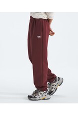 THE NORTH FACE MEN EVOLUTION SIMPLE DOME REGULAR PANT