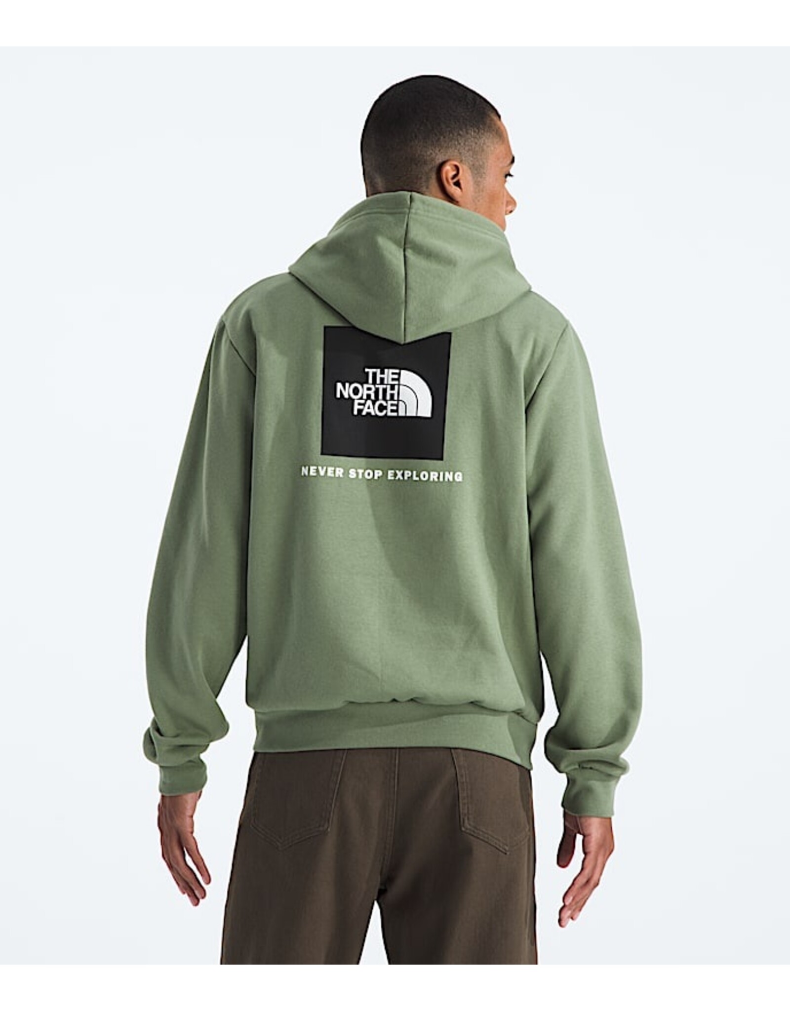 THE NORTH FACE MEN EVOLUTION BOX NSE HOODIE