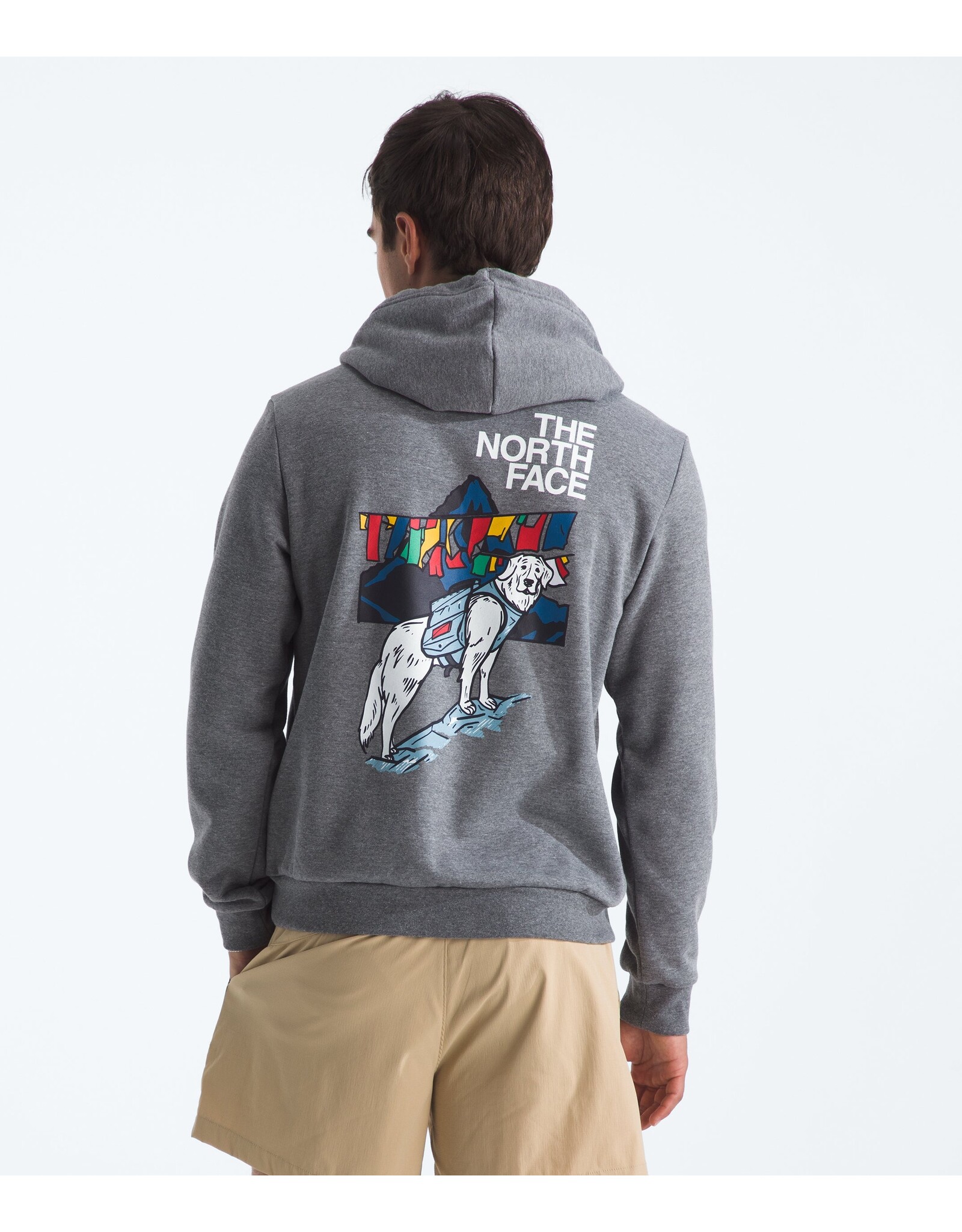 THE NORTH FACE MEN SUNLIT SUMMIT REGULAR HOODIE